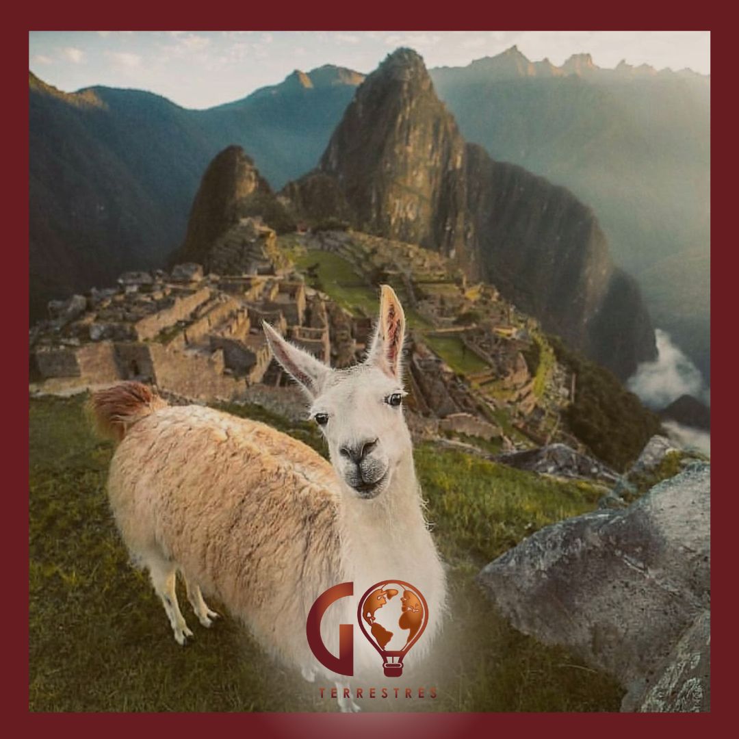Machu Pichu !! - Image 3